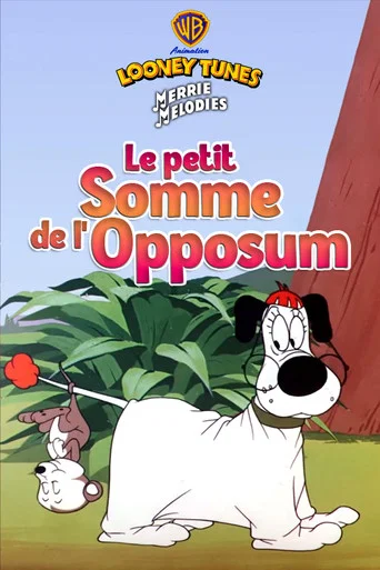 Regarder Le petit somme de l'opossum en streaming complet