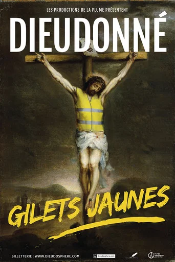 Regarder Dieudonné - Gilets Jaunes en streaming complet