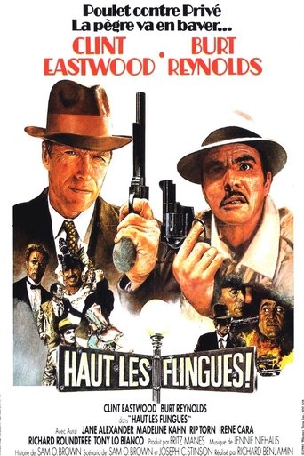 Regarder Haut les Flingues ! en streaming complet