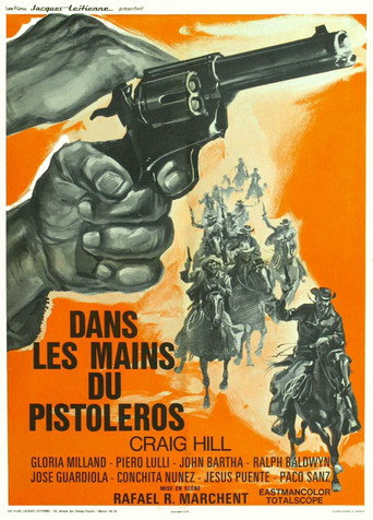 Regarder Dans les mains du pistolero en streaming complet