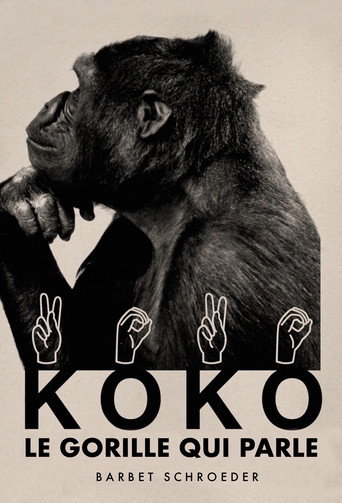 Regarder Koko, le gorille qui parle en streaming complet