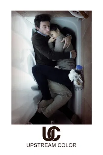 Regarder Upstream Color en streaming complet