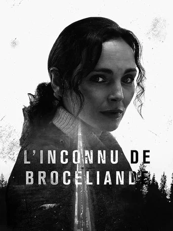 Regarder L'Inconnu de Brocéliande en streaming complet